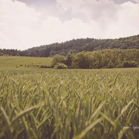 Koliba Pacho - Zrub Zuzka Дом отдыха Прьевидза