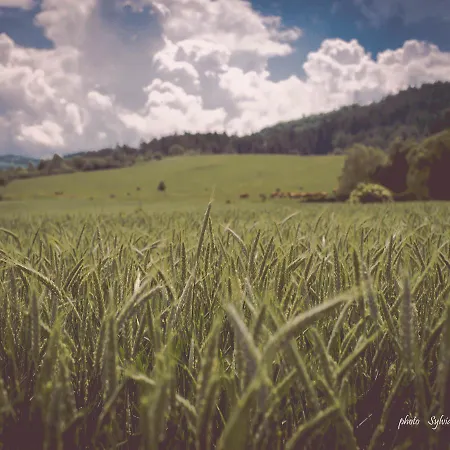 Ubytovanie Koliba Pacho - Zrub Zuzka Prievidza