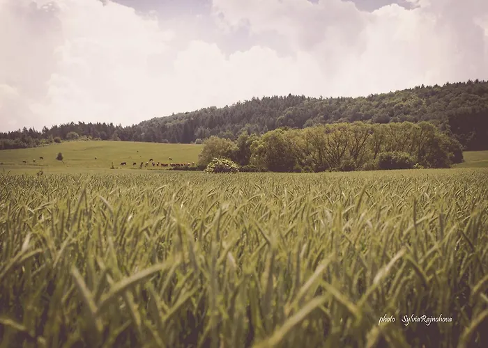 Koliba Pacho - Zrub Zuzka Nyaraló Privigye