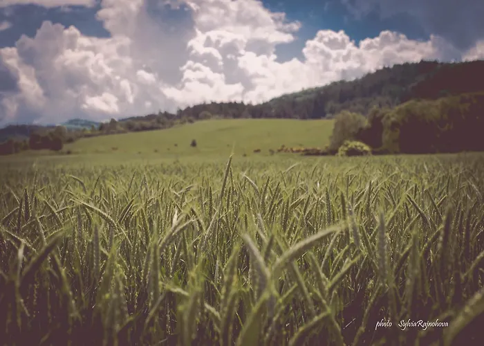 Koliba Pacho - Zrub Zuzka Privigye